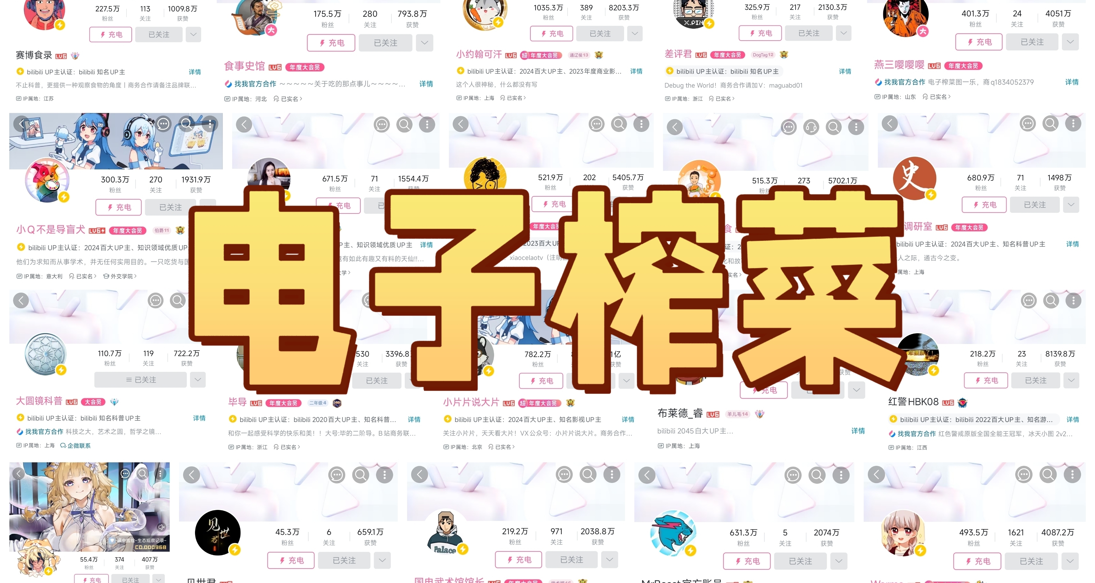 我的電子榨菜，推薦20位我喜歡在喫飯時看的UP主