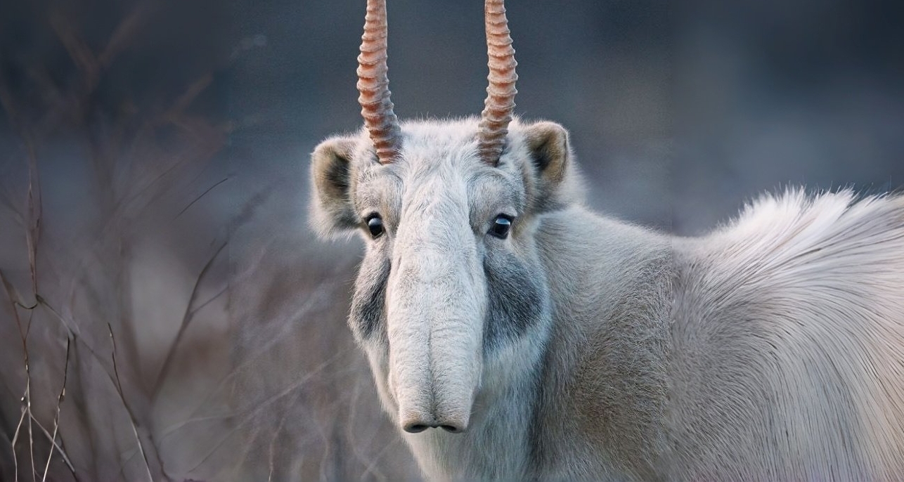 [地球技能推荐]快对人类使用呼吸法吧，你不是跑的很快吗？