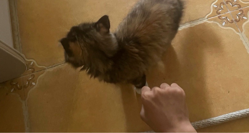 講一下關於我的老爸( ･⊝･∞)