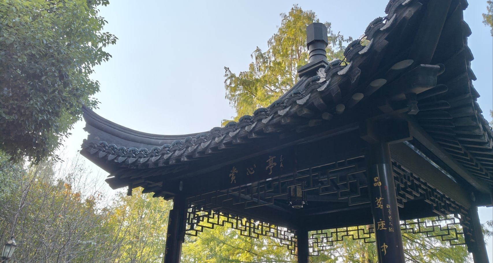 填的詞被收錄了