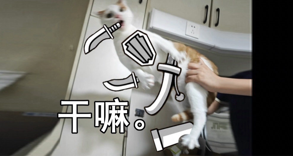 3個xdx湊一塊兒了，這是他們乾的好事↓