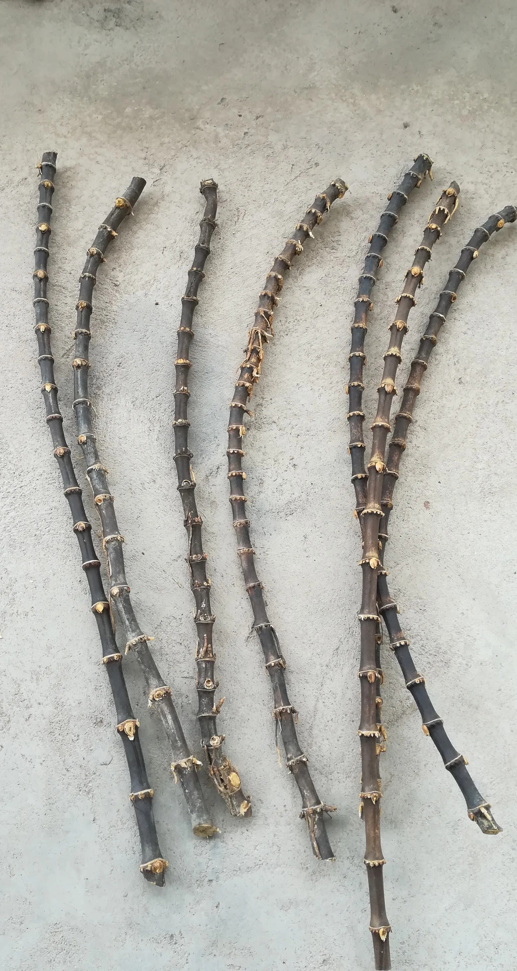 “聽媽媽話”竹鞭引熱議，永輝客服回應揍小朋友用的”