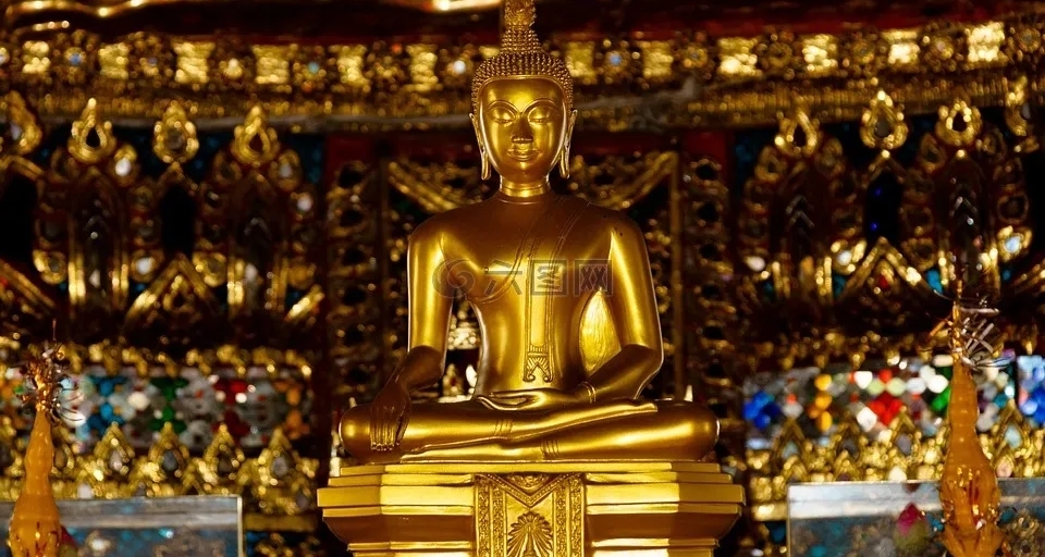 放生成行爲藝術？佛協喊話：礦泉水和大米真的不需要解救