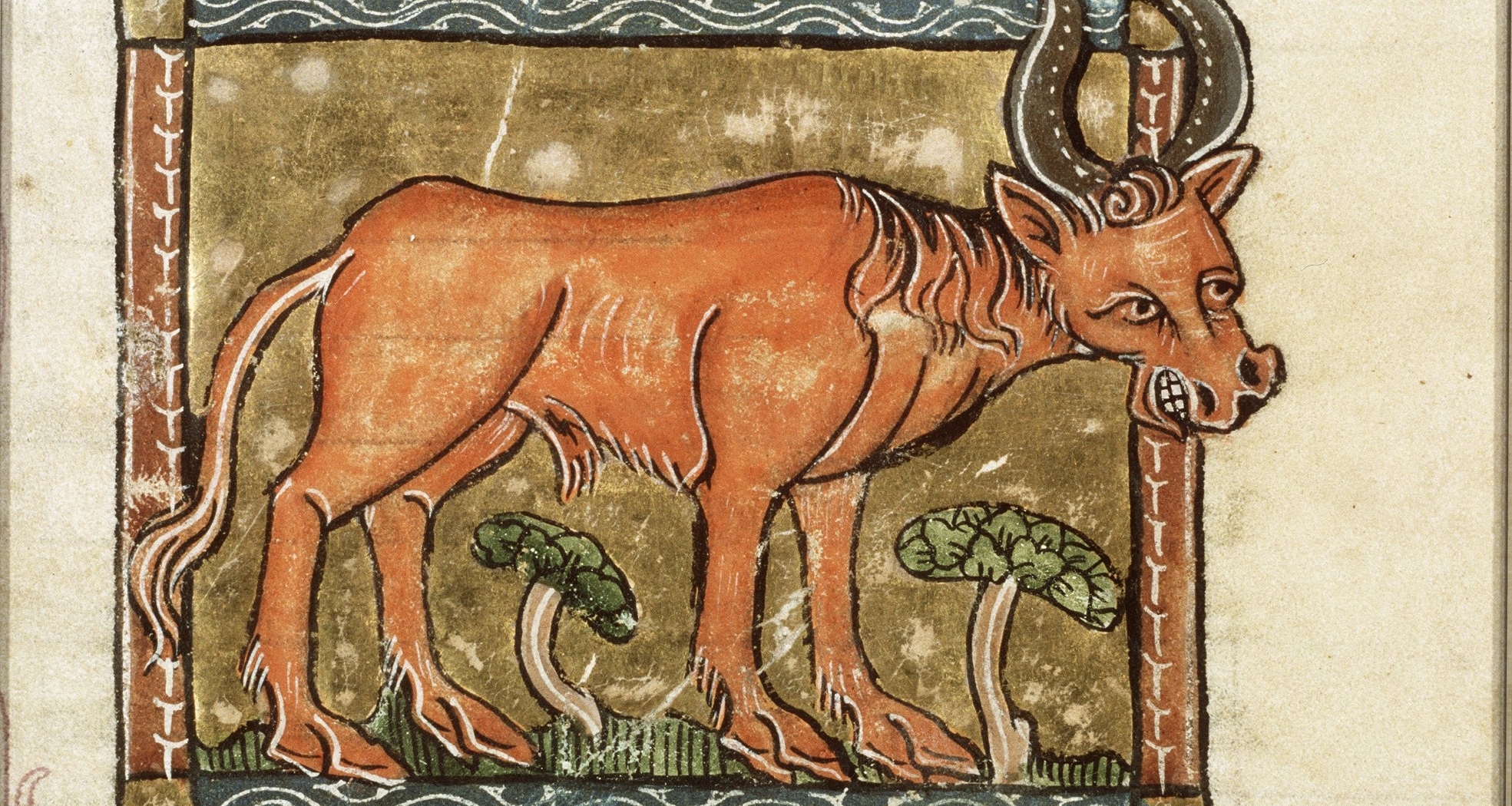 [那些民俗怪物]我不喫牛肉，因爲見面就要想着逃跑