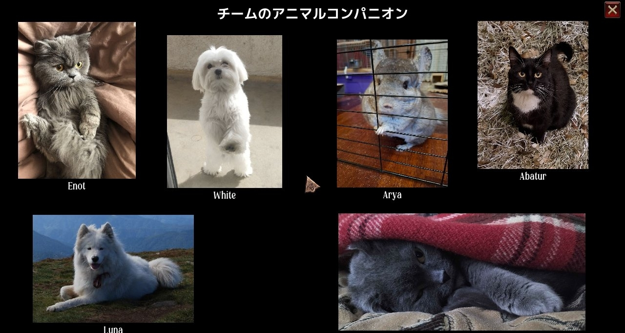 爲了炫耀自己的寵物，獨遊作者選擇做了一款遊戲讓所有人看見！