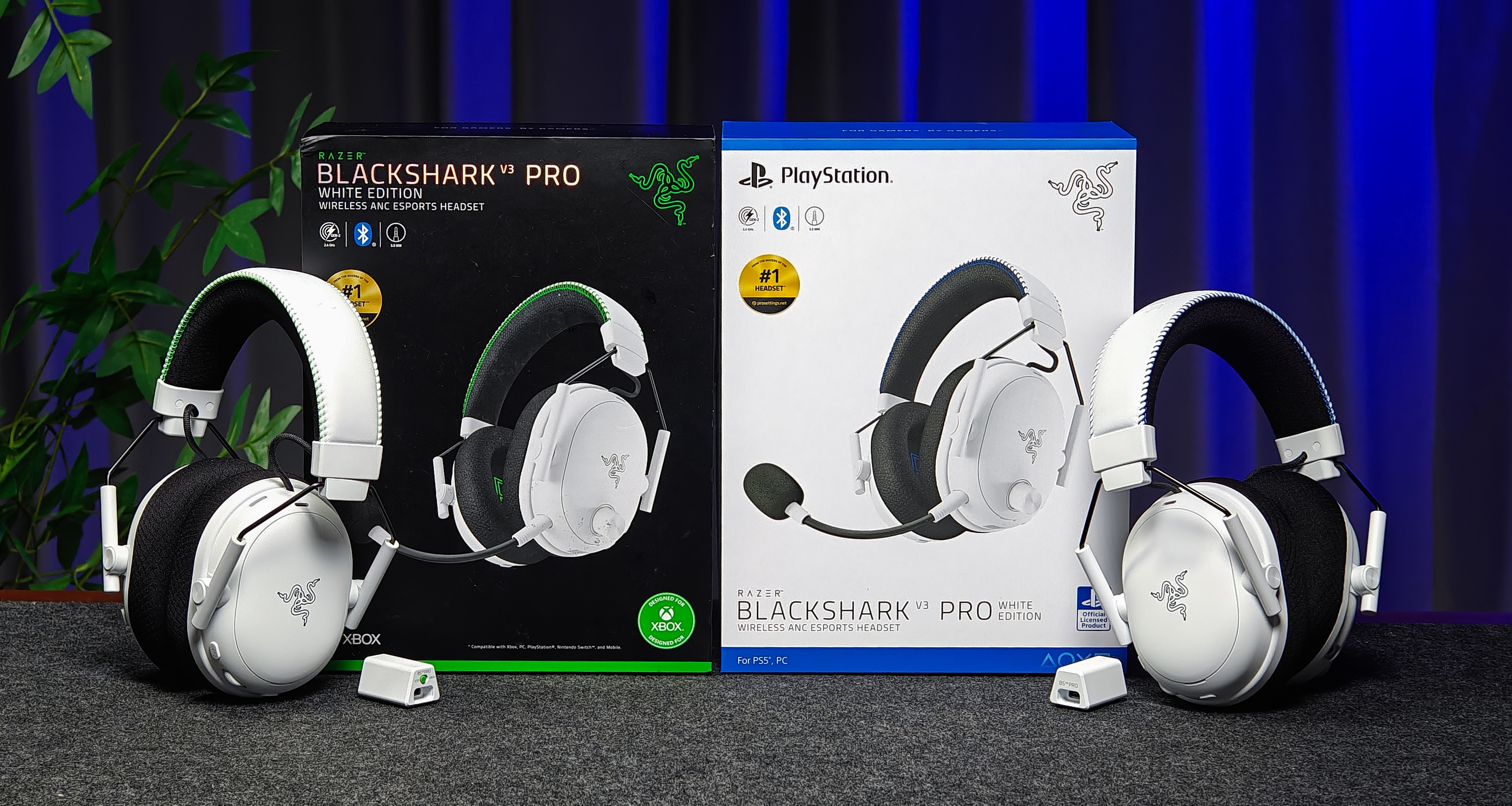 遊戲耳機一步到位：全平臺都好用的雷蛇旋風黑鯊V3Pro還帶授權！