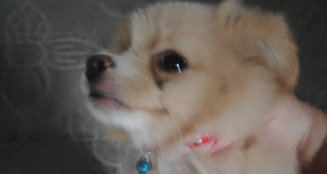 小時候總是哭，所以長大哭不出來了