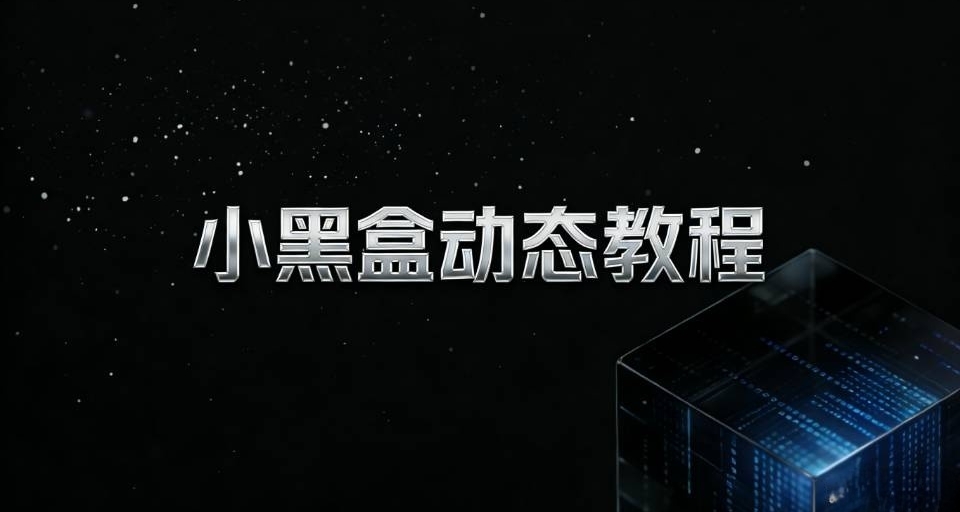 你真的會用小黑盒嗎？帶你手把手玩轉黑盒的動態系統