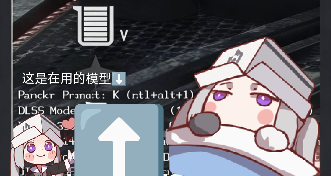 新模型到底启用成功没有？英伟达DLSS指示器开启教程