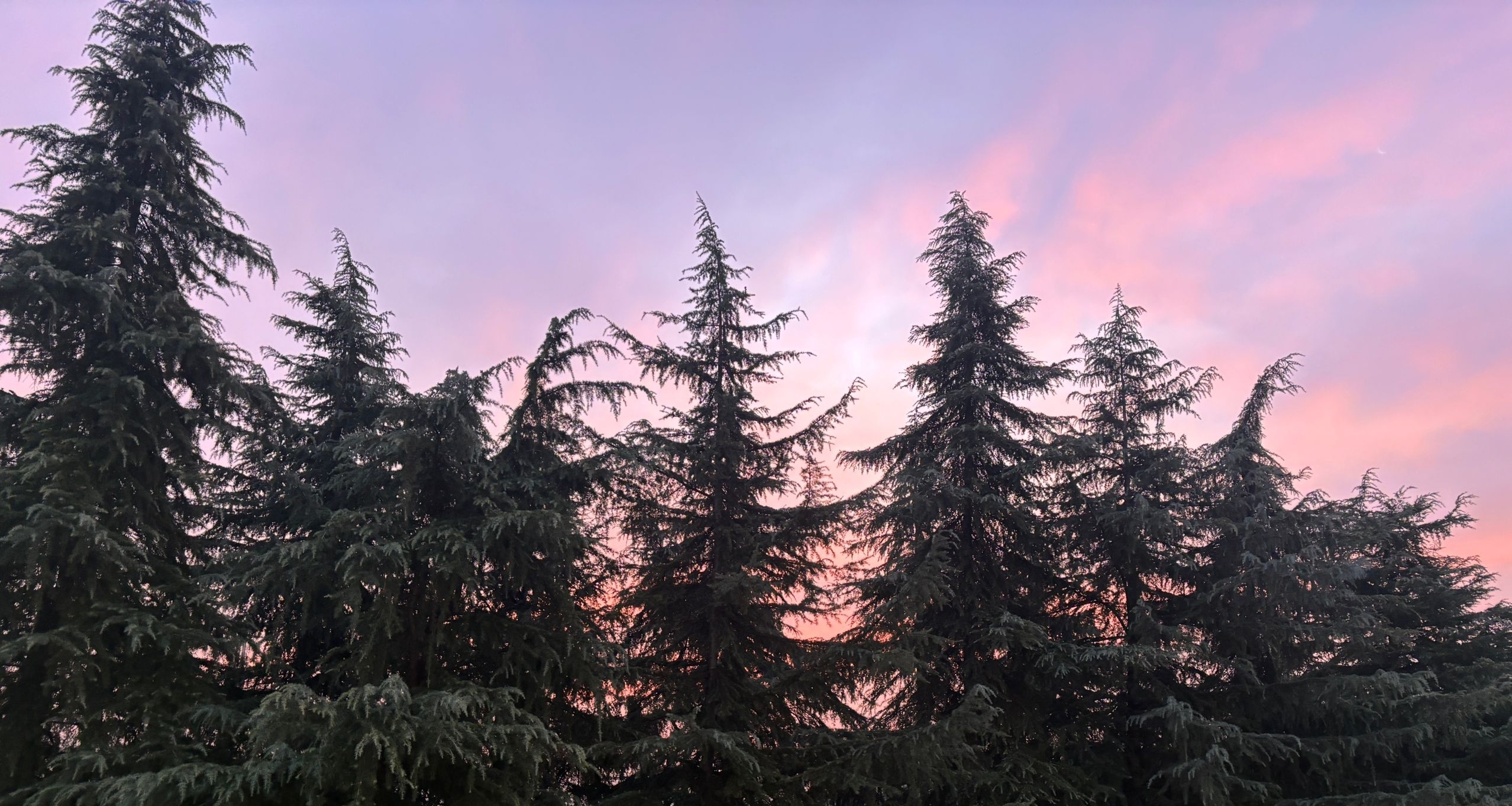 我在等“风”来，也在等着和妹妹一起长大[cube_太酷啦]