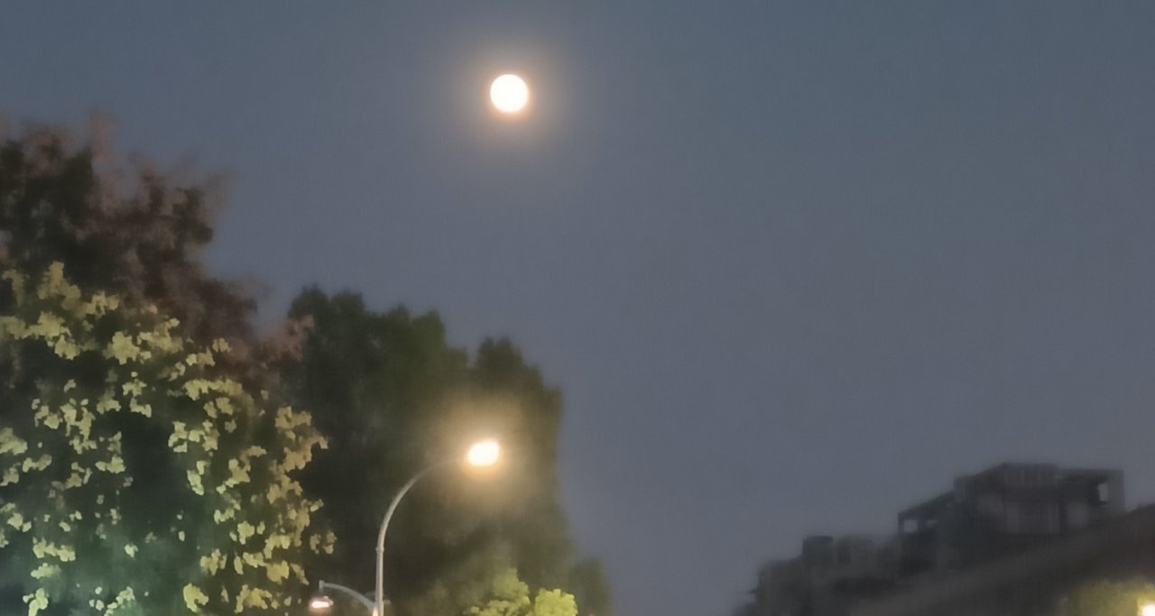 媽媽，沒買生日禮物是因爲我欠了錢