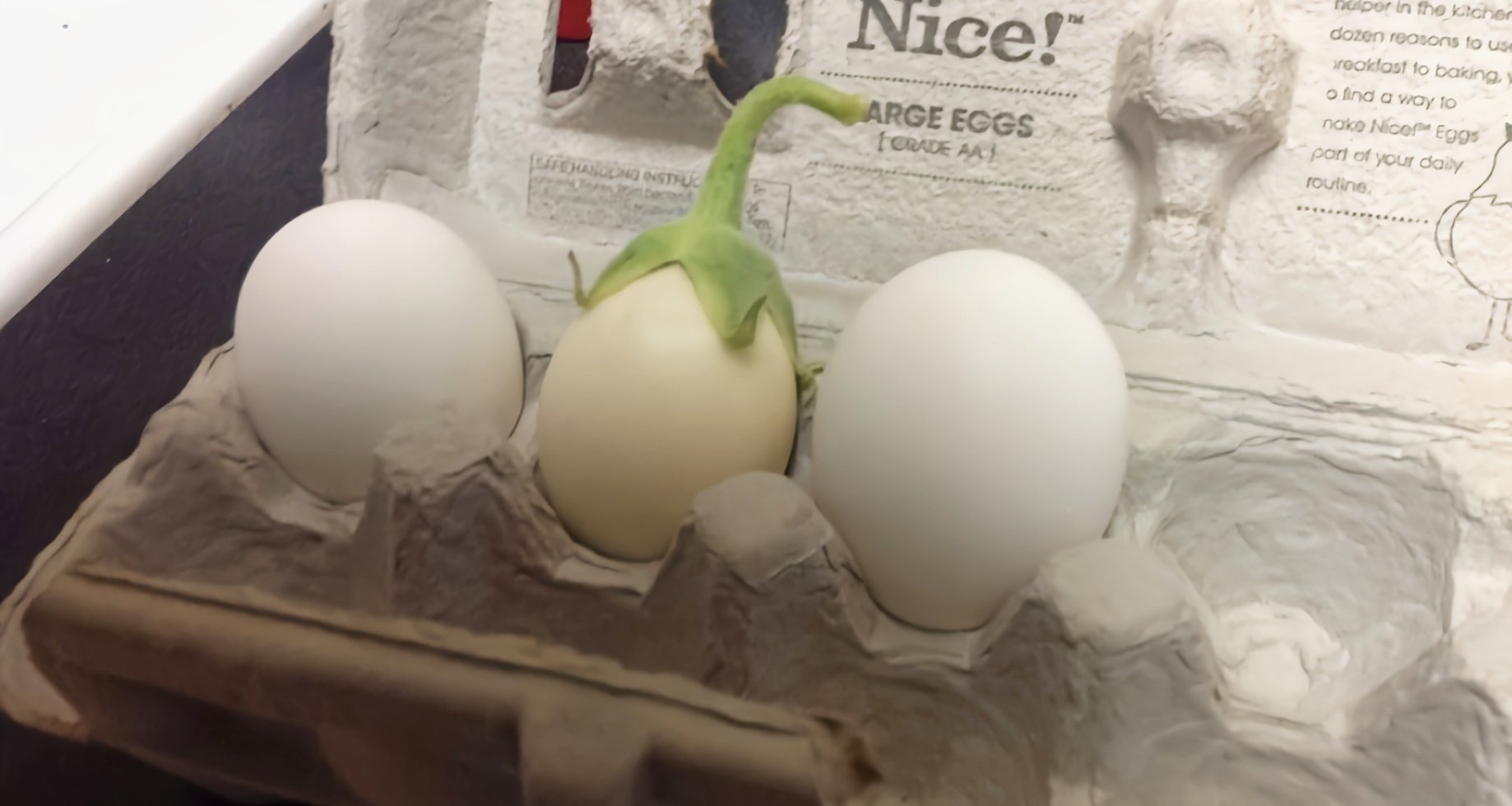 [地球角色推薦]這種如此好喫的食物，最開始居然長的像雞蛋?