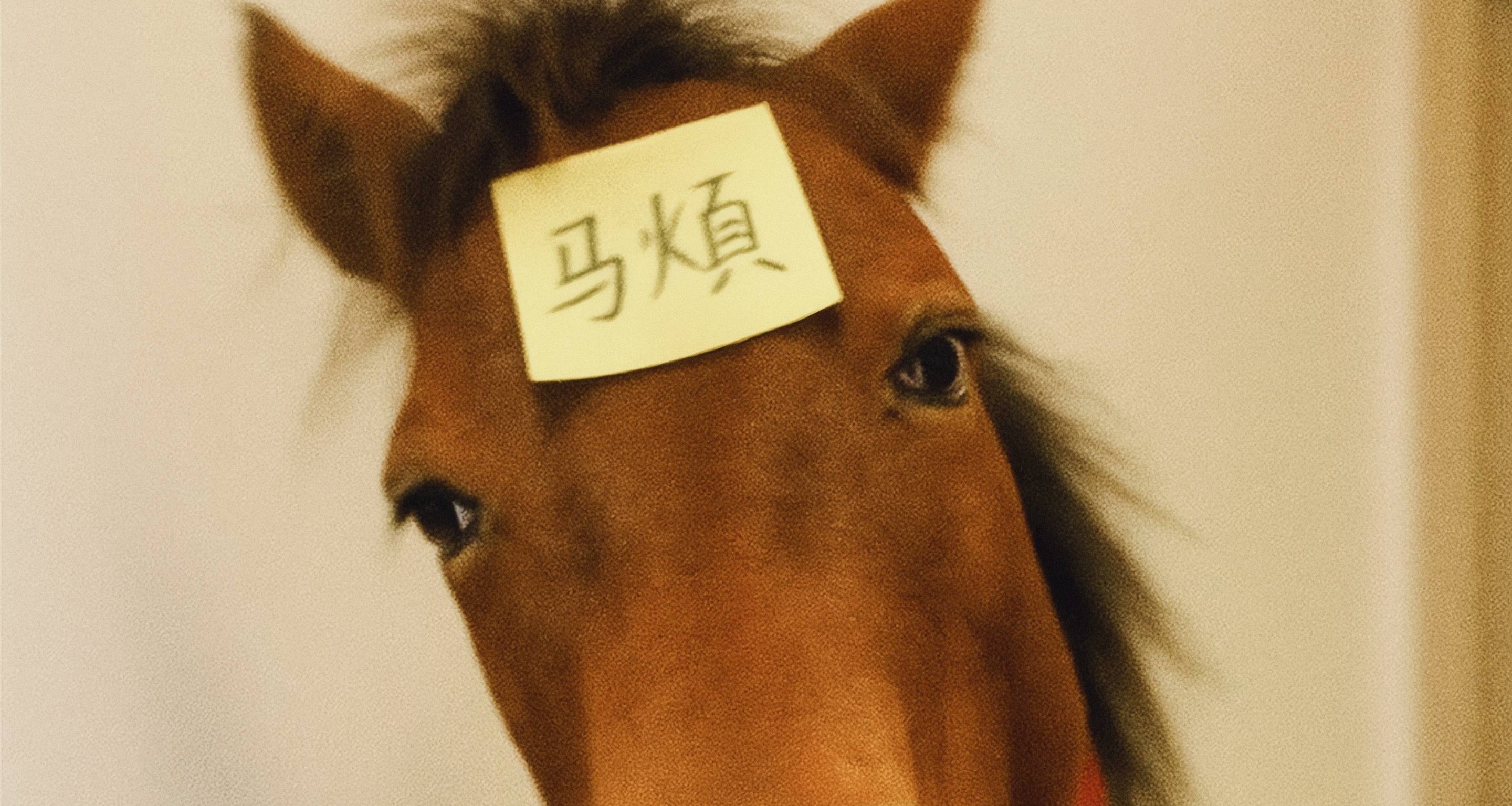 烦躁感在我的人生里似乎有些僭越了