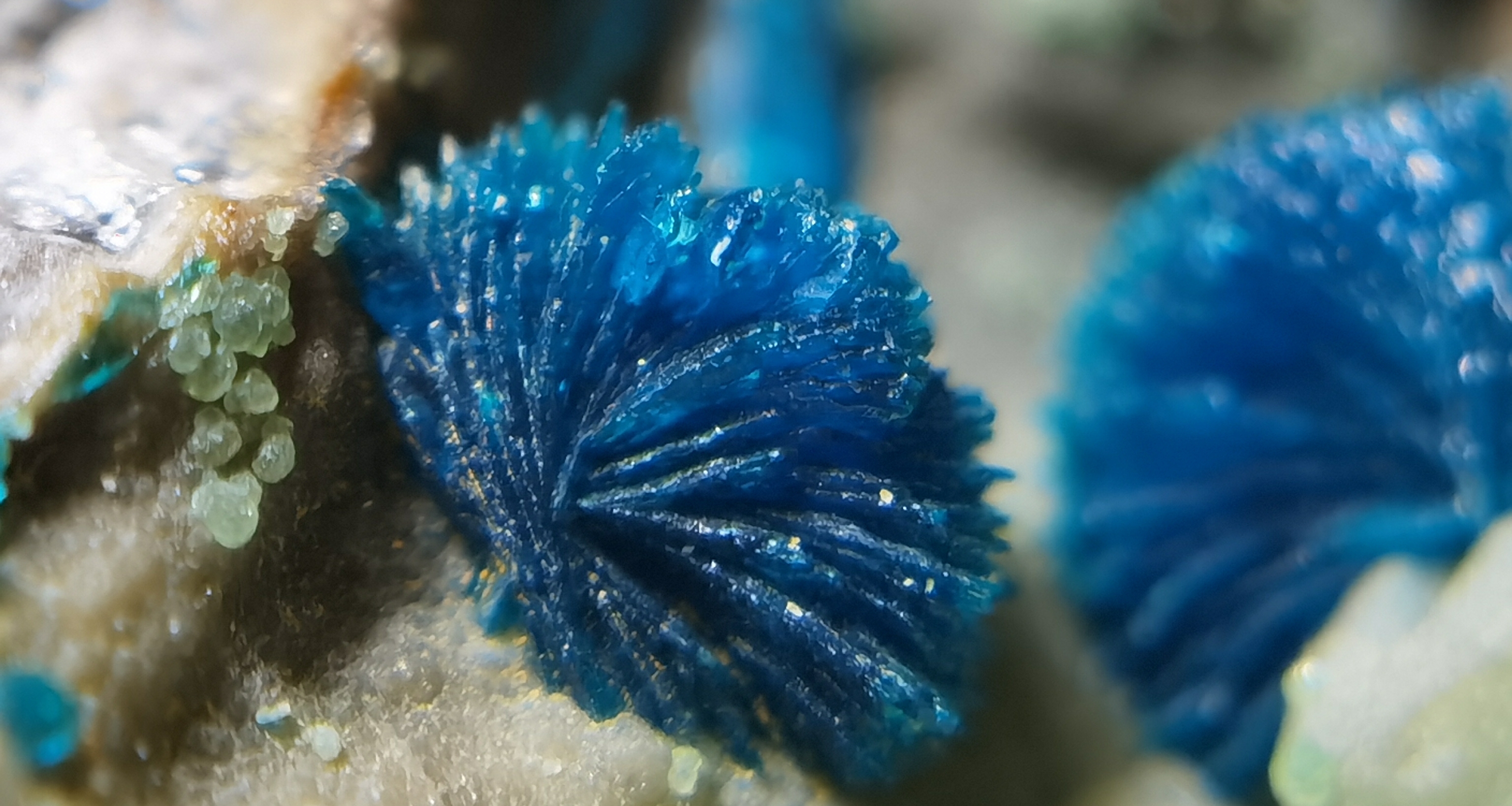 探机时刻 云南东川大发现