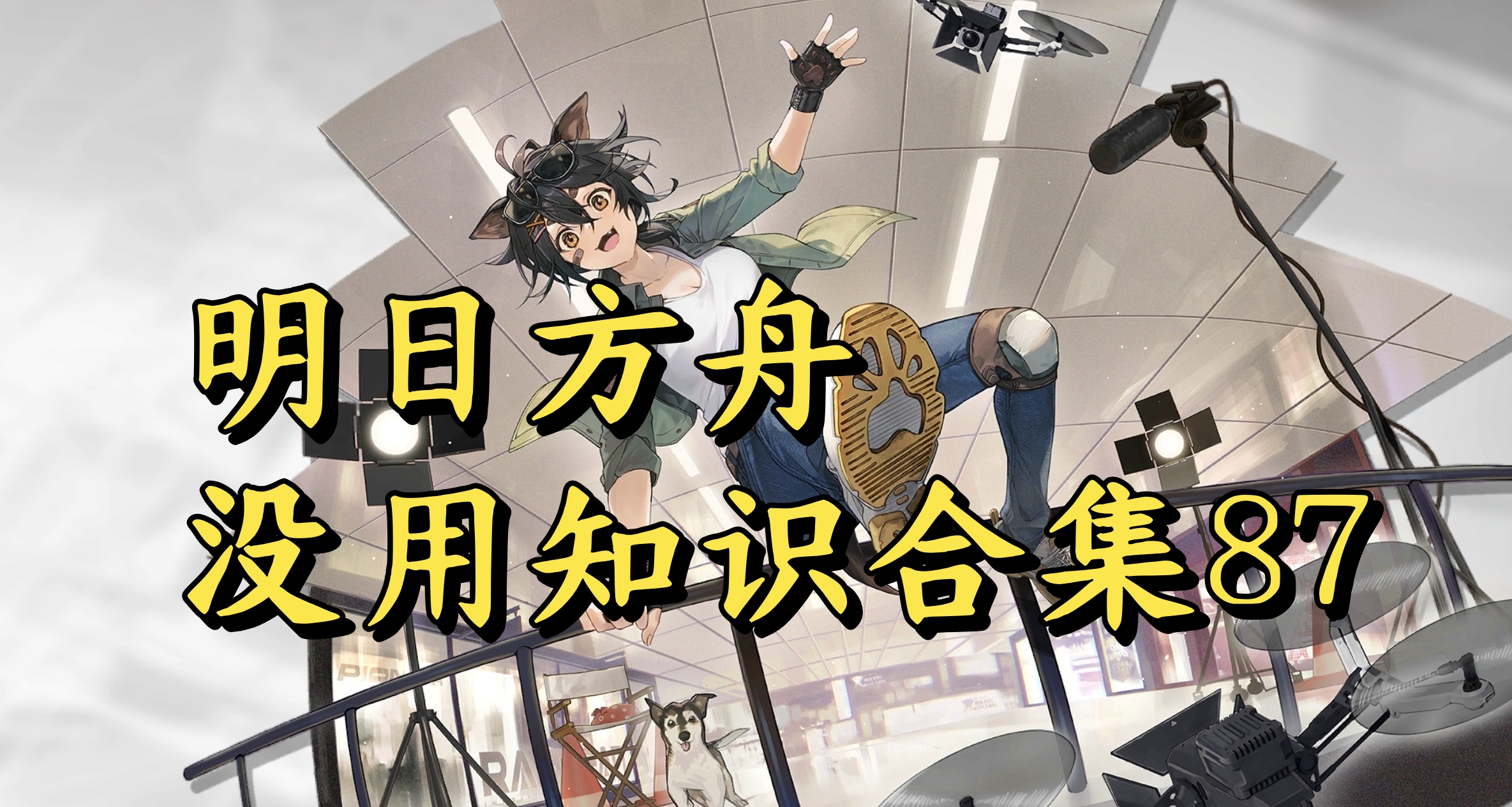 明日方舟没用知识合集87
