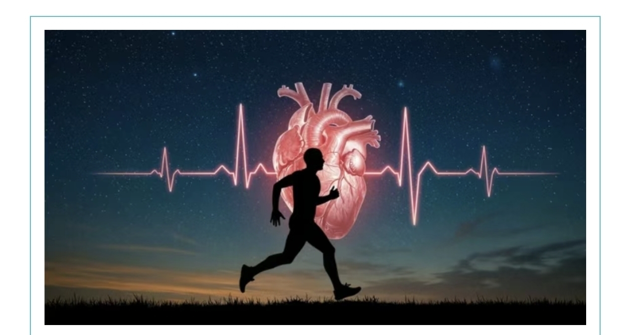 冬天心肺训练，看这篇就够了