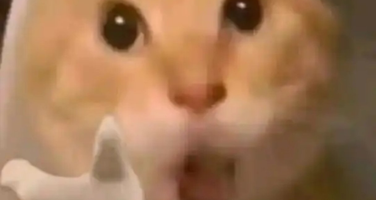 憋個付費dlc？還是持續免費更新？