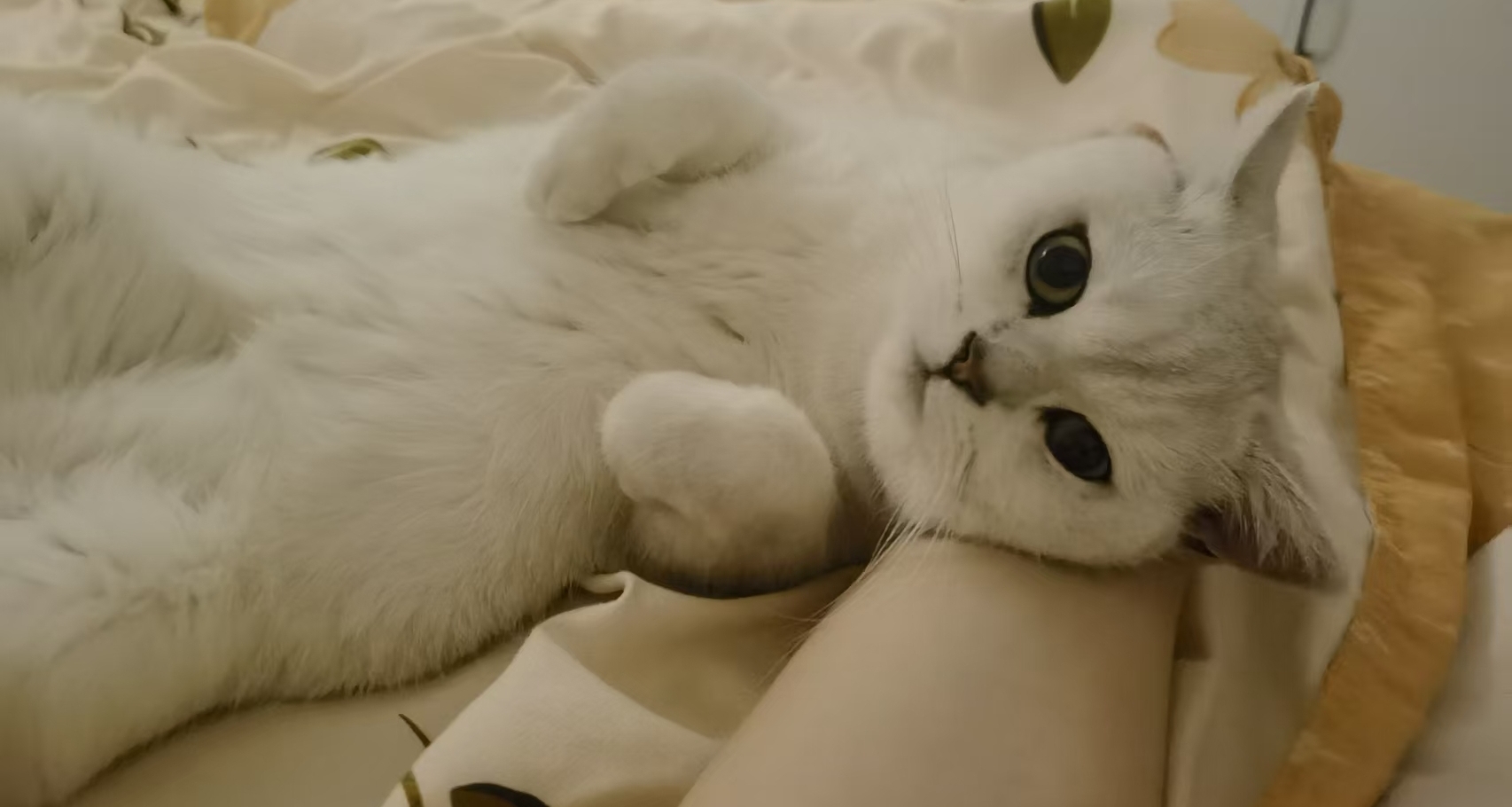 骑车带妹妹，结果半路没电了[cube_笑cry]