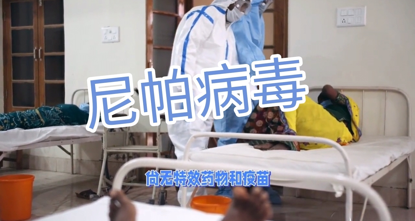 尼帕病毒突袭印度，高致死率引全球公共卫生警惕