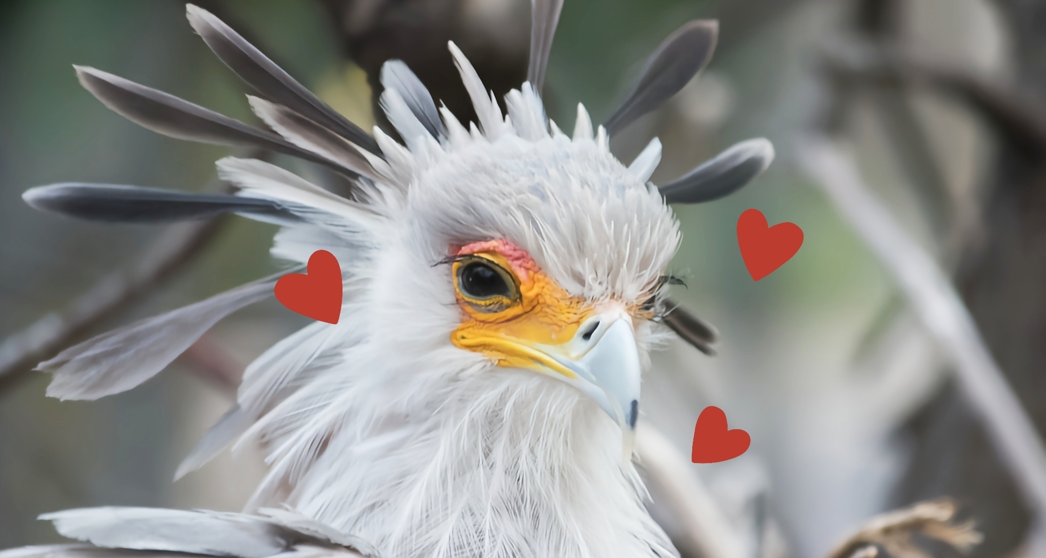 [地球角色推薦] 這位大長腿蛇蠍美人，竟是一位純愛戰神?