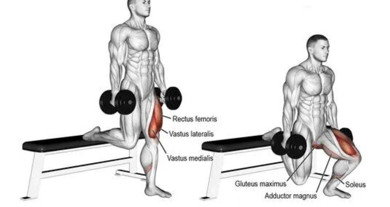 保加利亞分腿蹲，前腳放哪纔對？多數人都錯在這條“力線”上