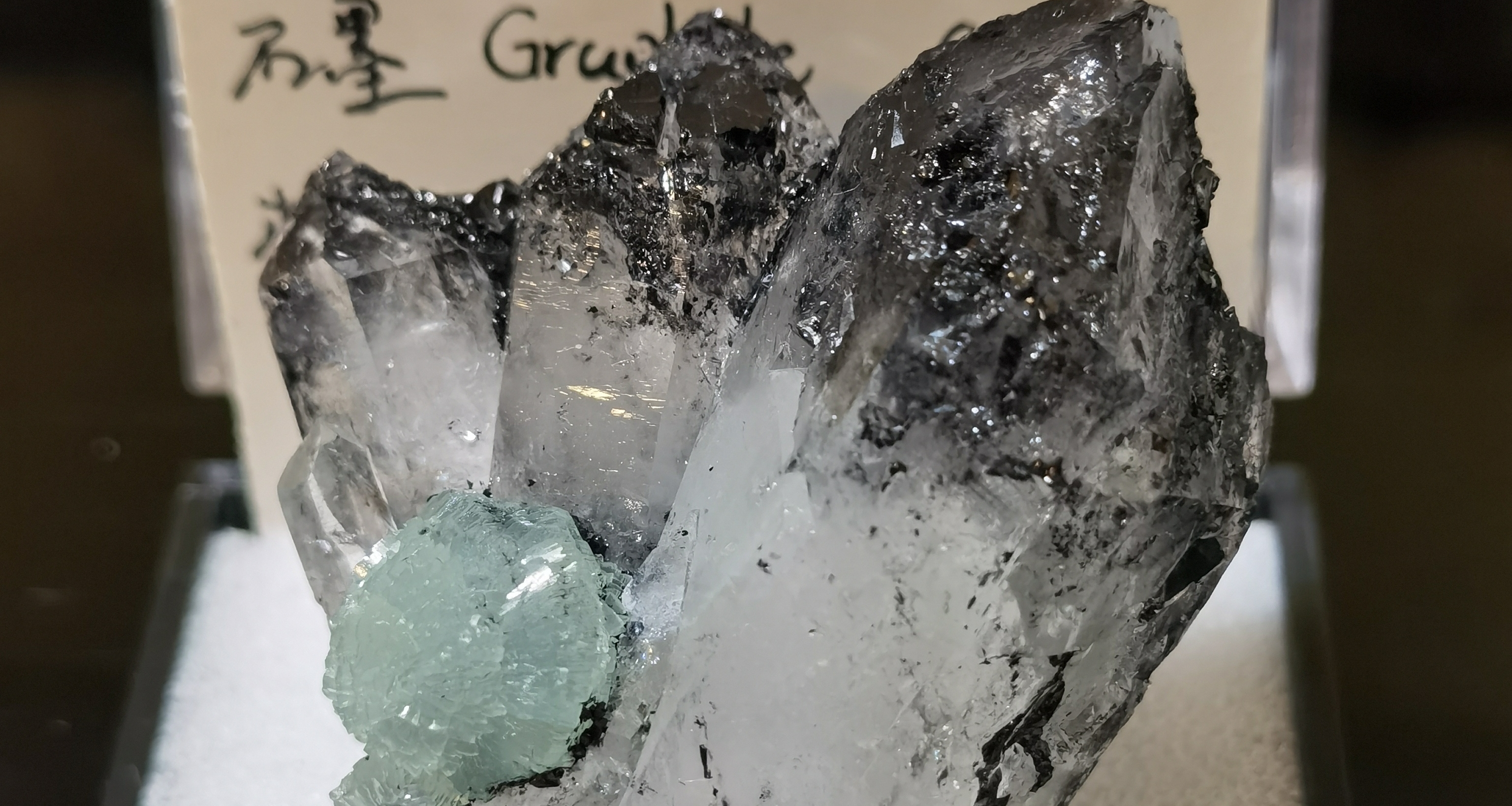 探机时刻 葡萄三元一颗，十元三颗