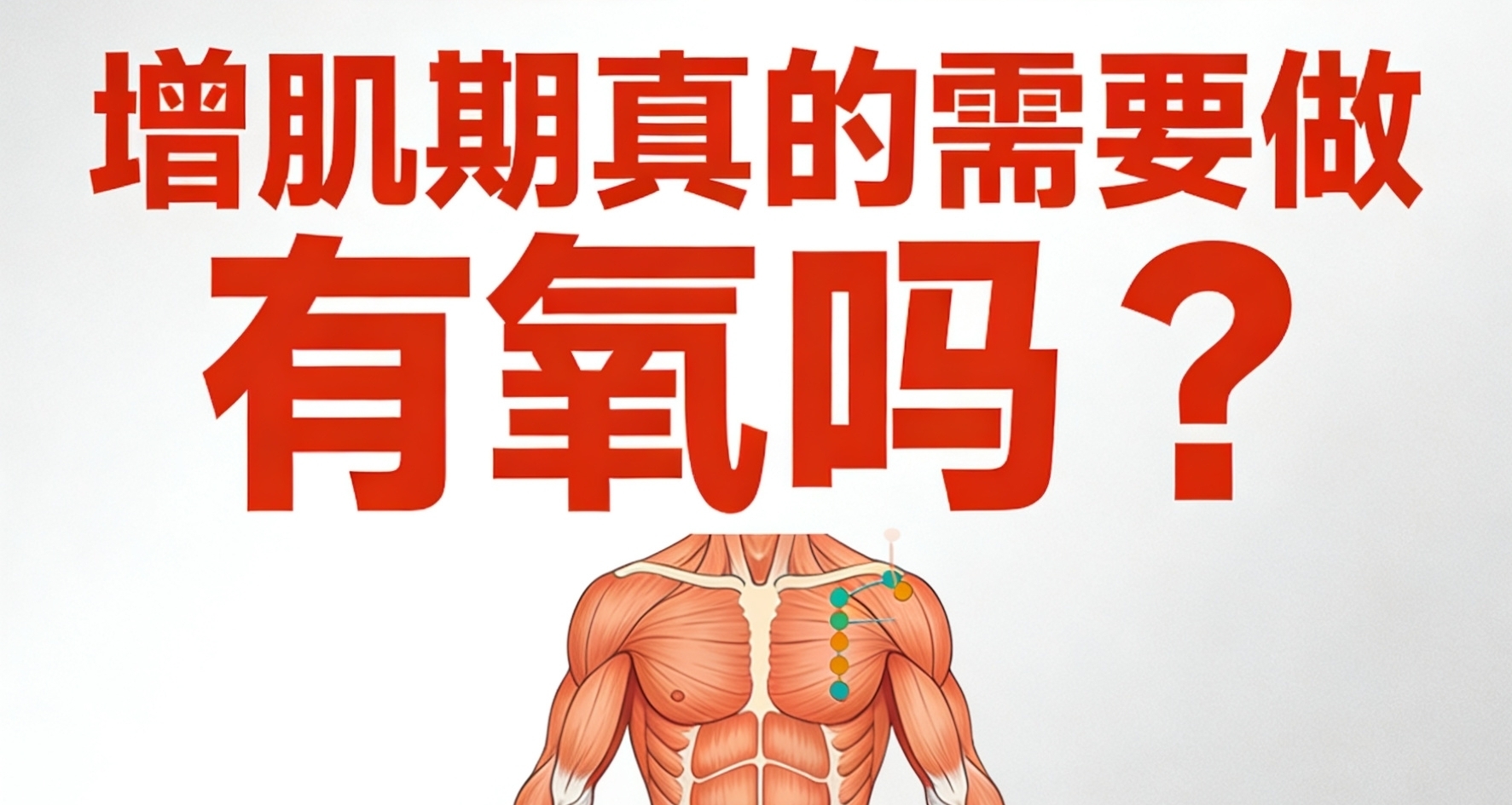 增肌期真的需要做有氧吗？