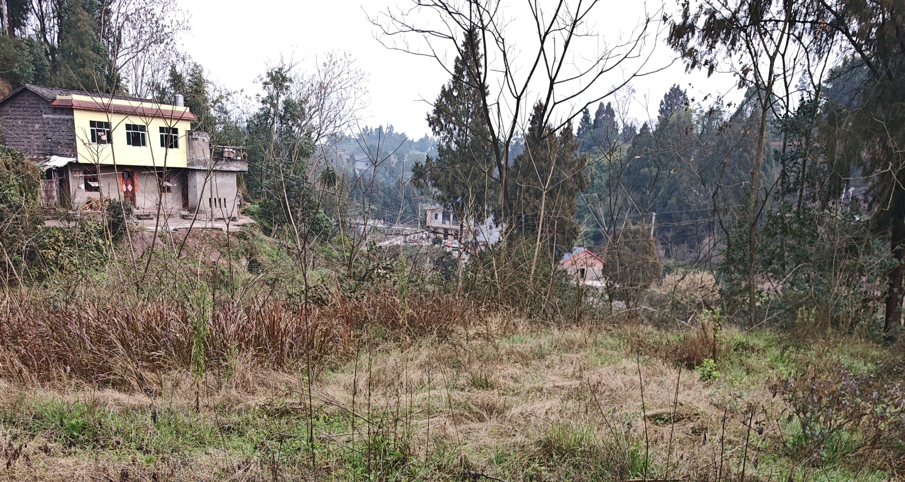 君哥，梦想笑了