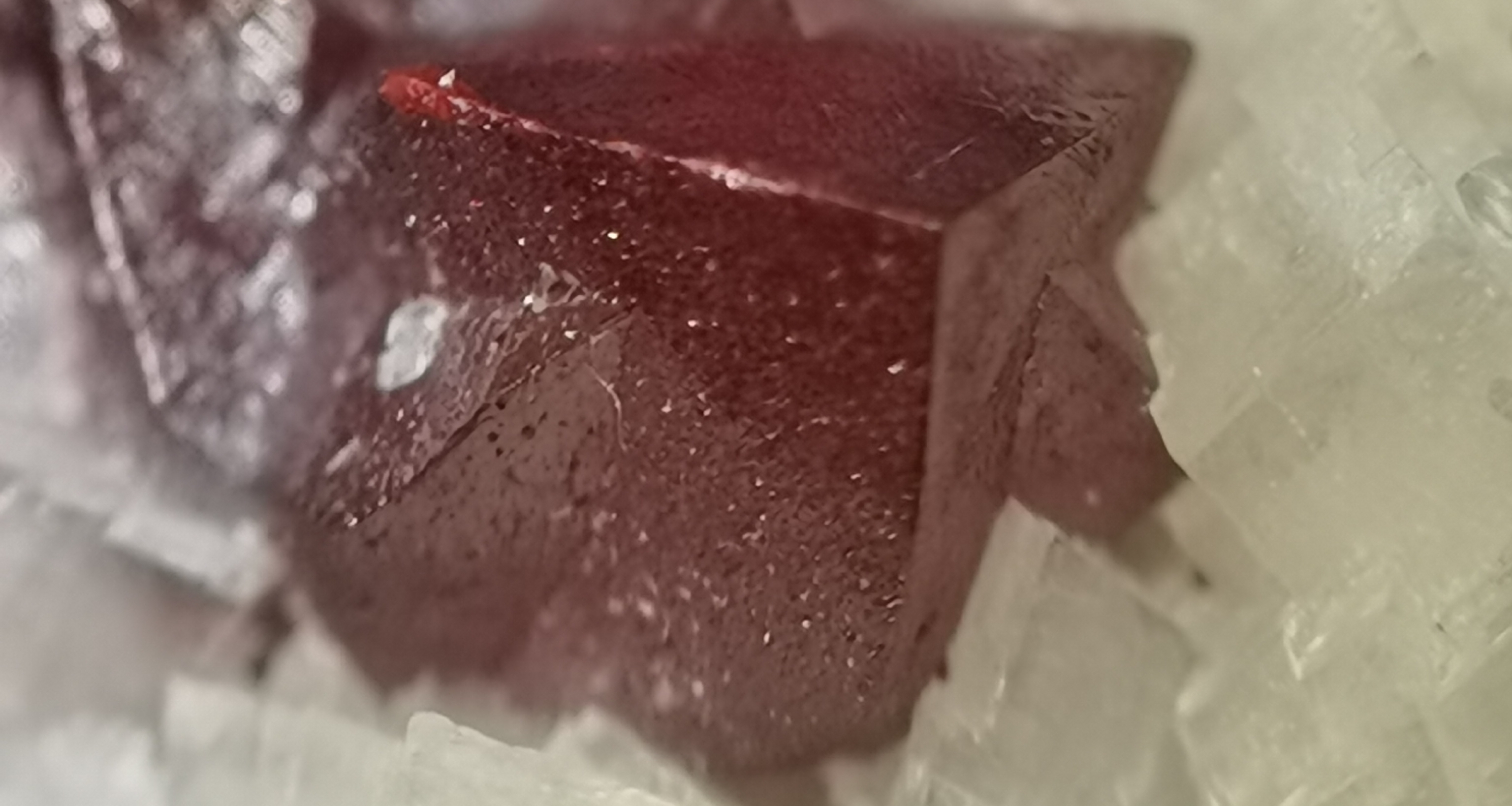 探机时刻新春特辑 湘西之血