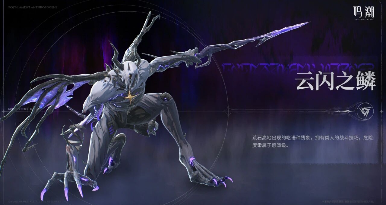 WW有關新的矩陣