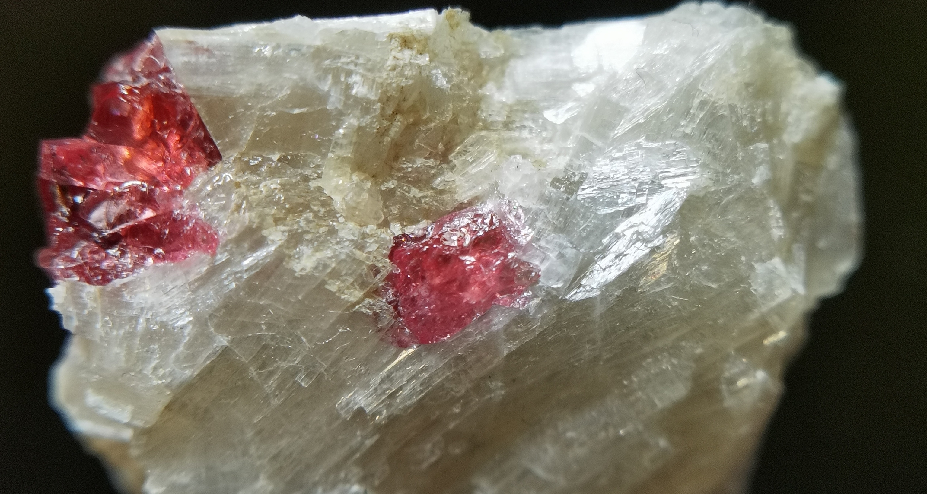 探机时刻新春特辑 能增加异性缘的石头是？