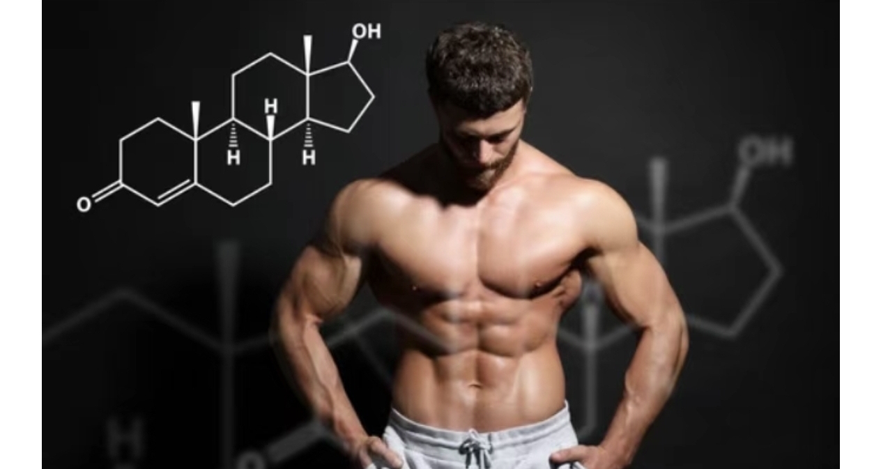 越練越強壯，心情也更好？祕密藏在你的睾酮裏