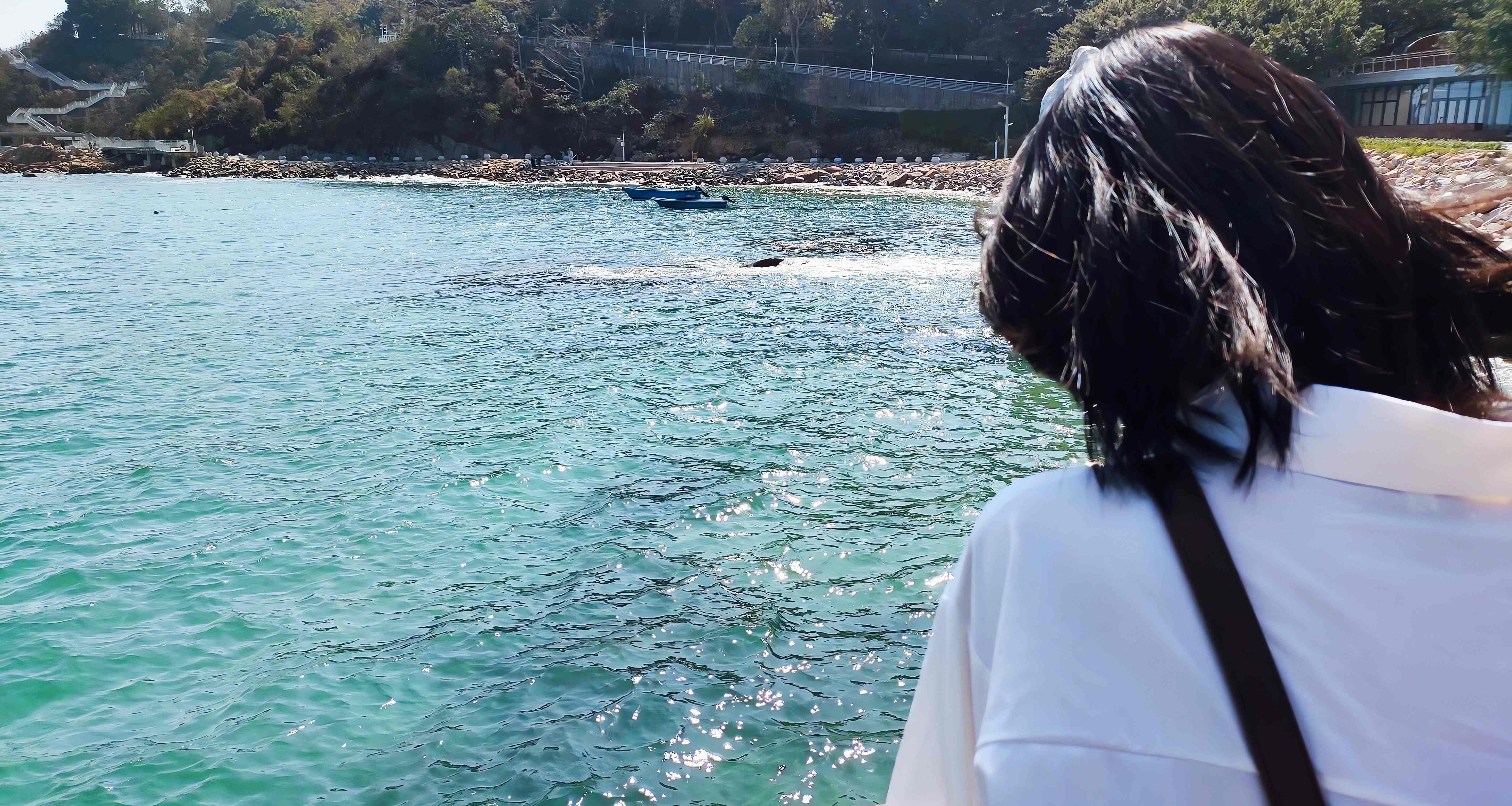 致我曾喜欢过的瓦伦蒂娜姑娘