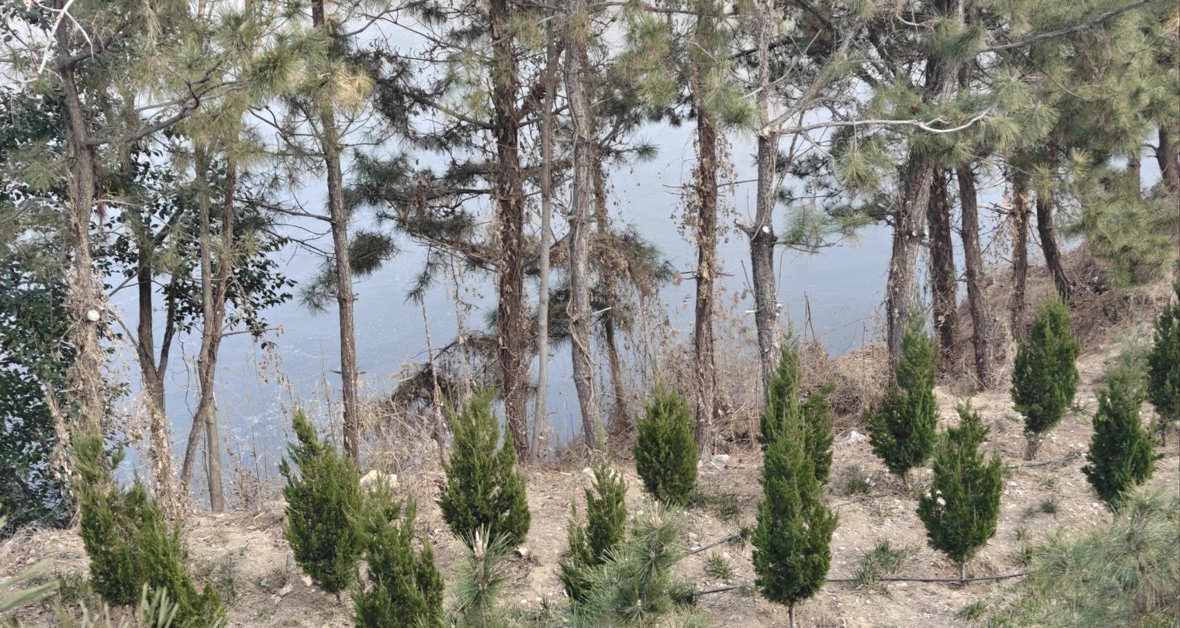 四大名著所衍生的游戏的两极，该如何去看待？