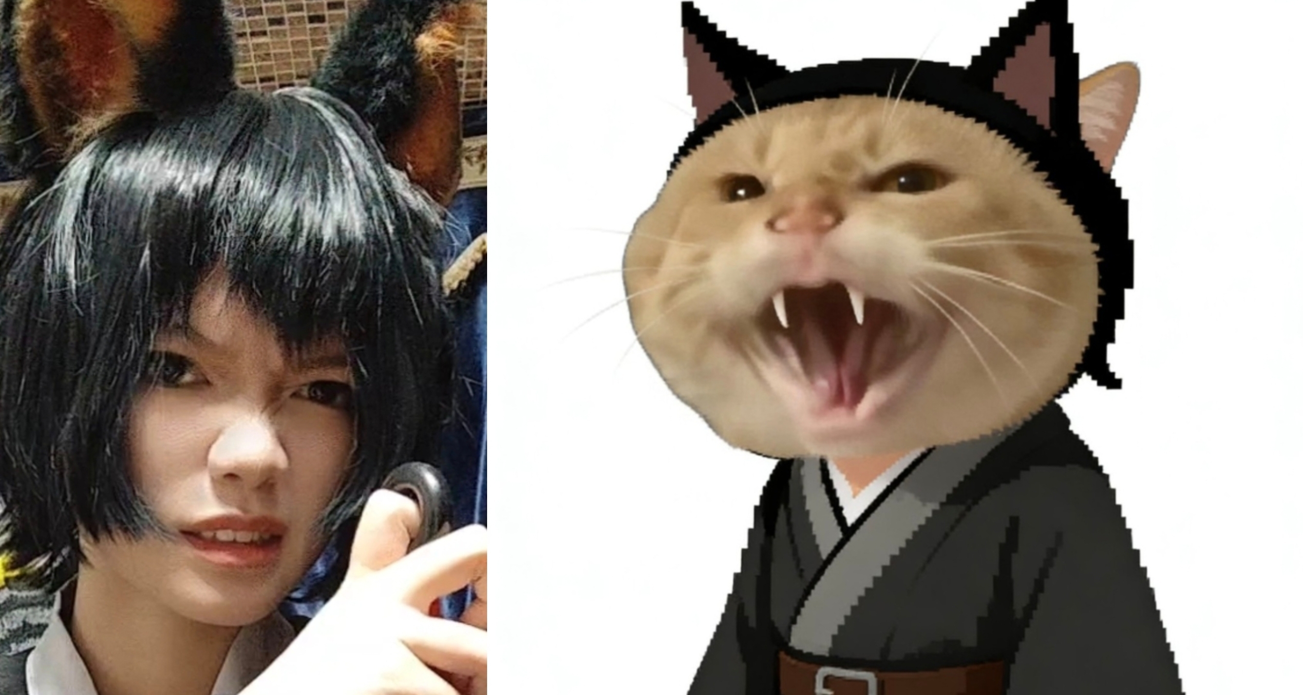 点赞我，你只会得到一个猫娘哈气。