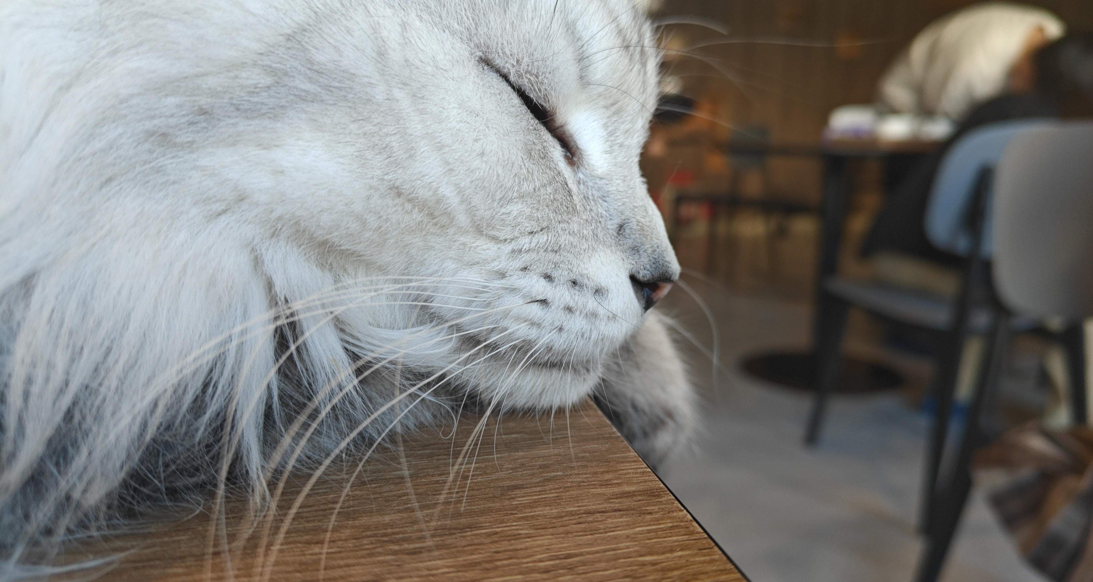 来点小知识——搞懂路由器！