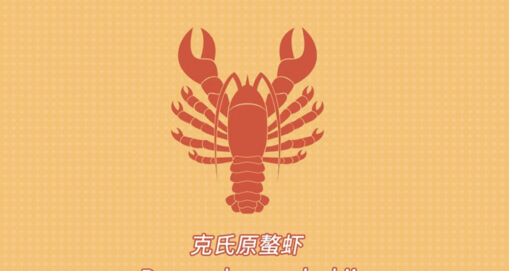 爲什麼夜宵一霸小龍蝦有那麼多人喫但還是阻擋不了小龍蝦氾濫？