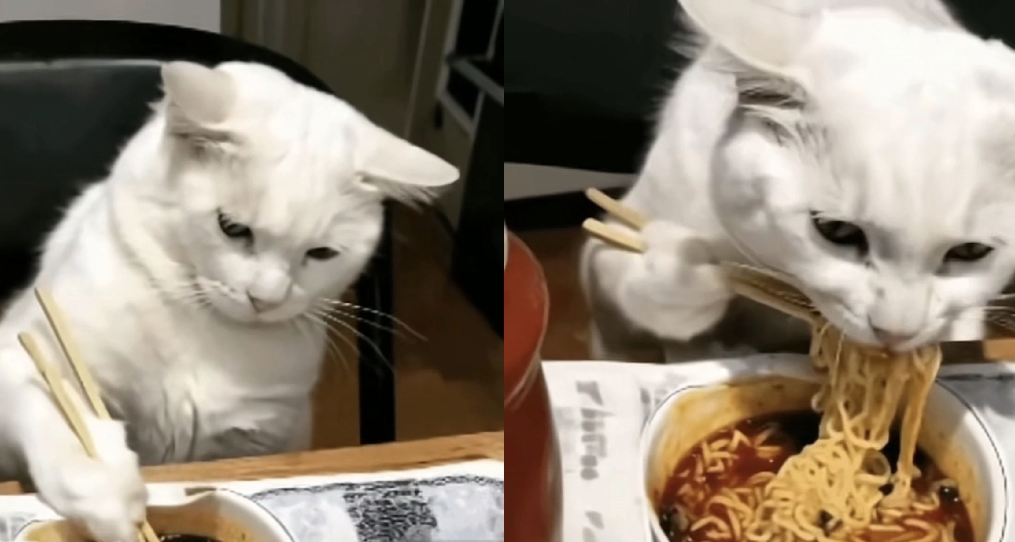 大學兩年零食紅黑榜