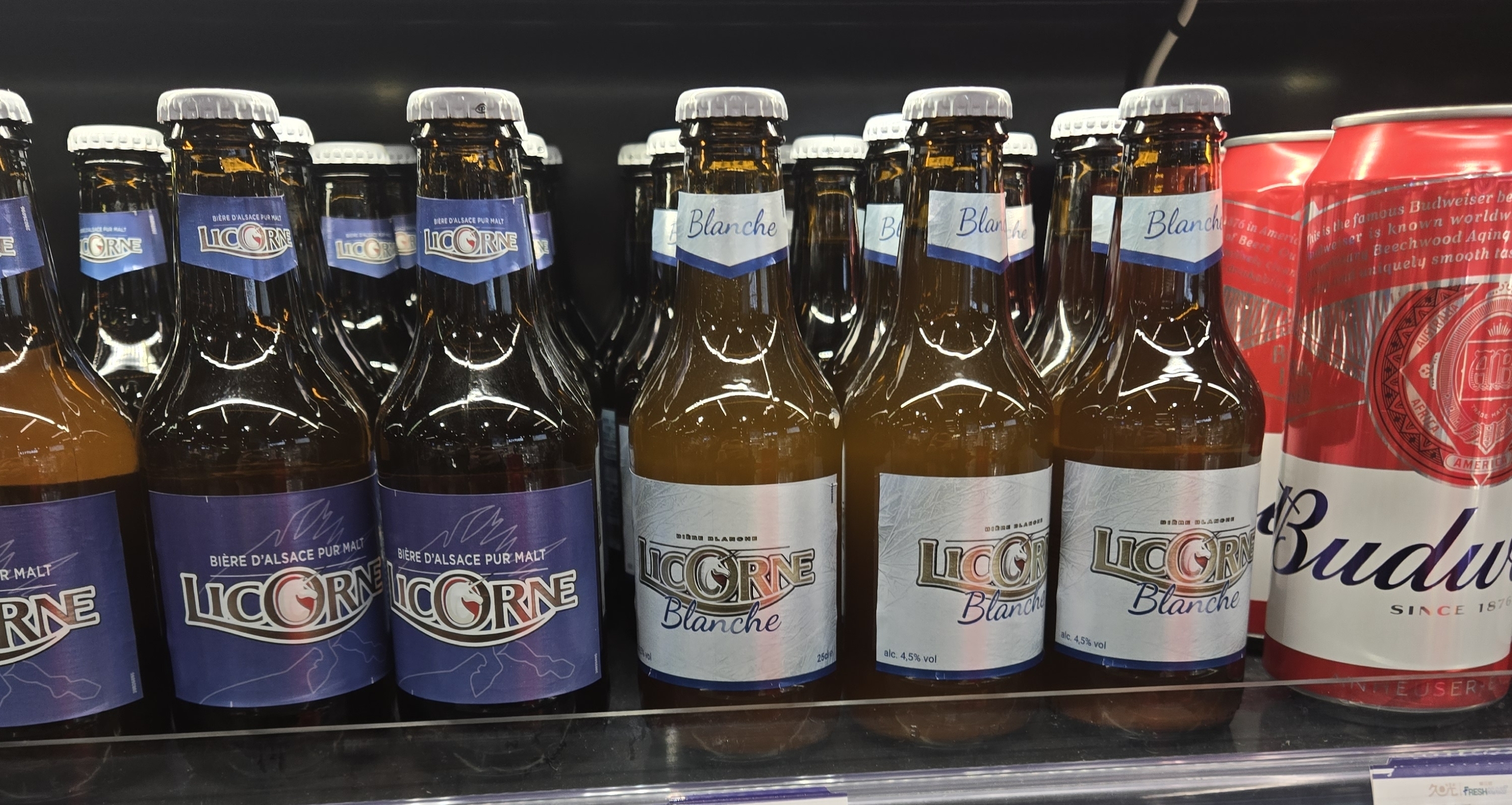 [適當逃避]BK的啤酒飲用完全指南（一）