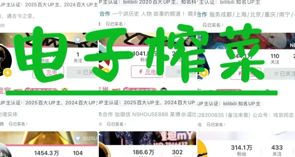 推荐几个可口的下饭电子榨菜~(B站up)