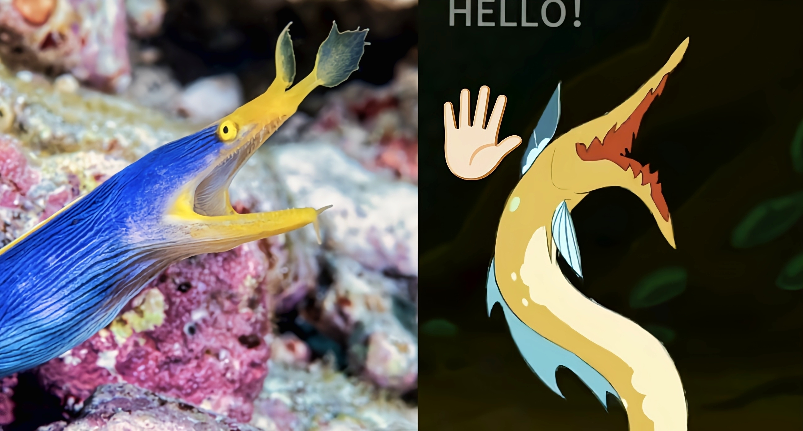 [奇怪生物日誌特刊]好小子，別來無恙。許久不見你當上網紅了啊???