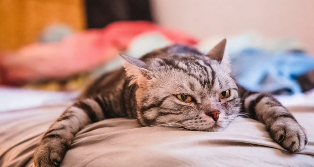 对一切都提不起兴趣，是你太久没给大脑新鲜刺激了