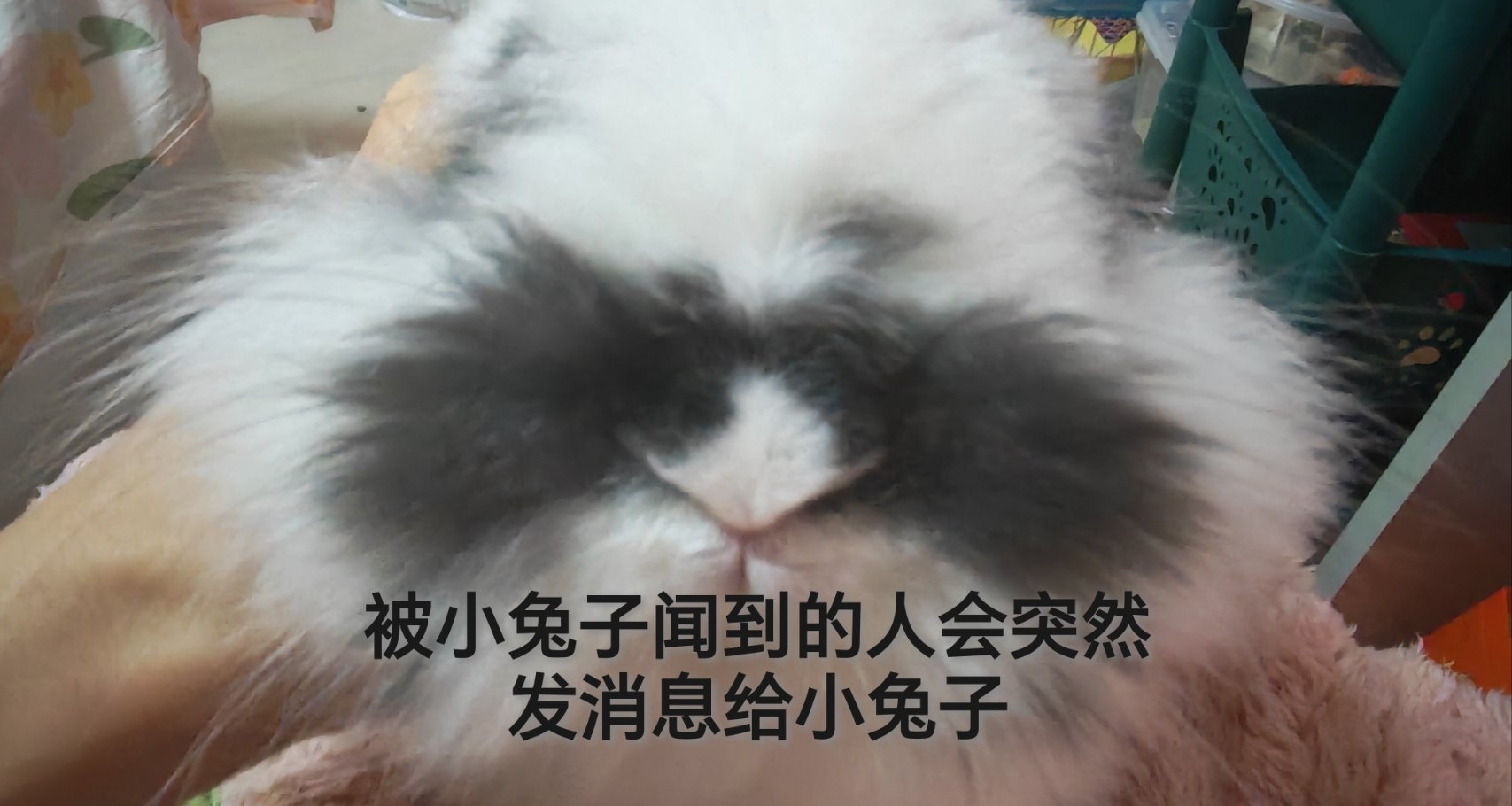 我想說一個爭議很大的問題