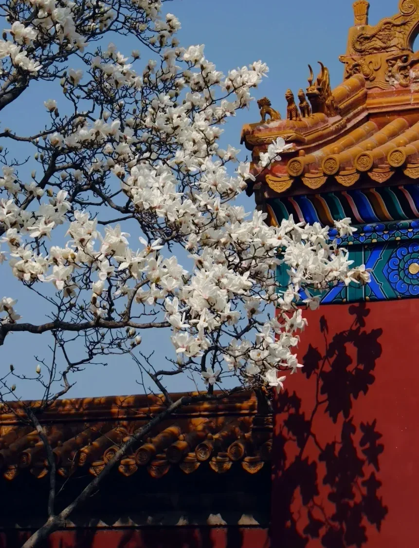 在北京有一條citywalk路線我能N刷不膩