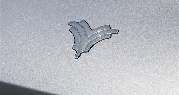 张雪犀利点评哪吒5亿Logo传闻：必死无疑！