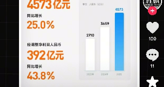 小米、华为、 2025年年度报告对比