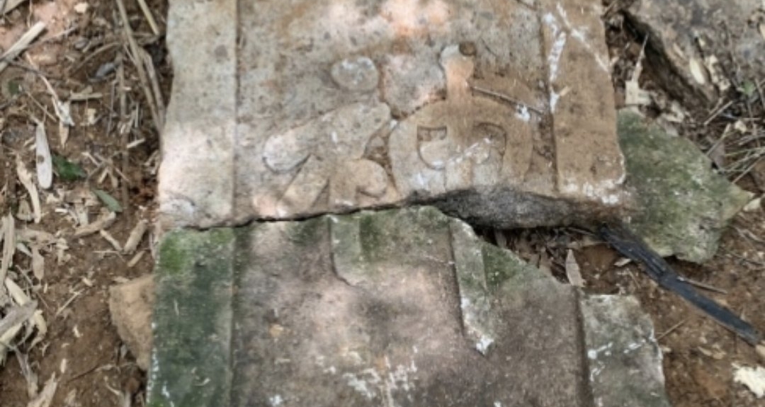 鲁迅先生恩师之墓重见天日，荒草终难掩风骨！