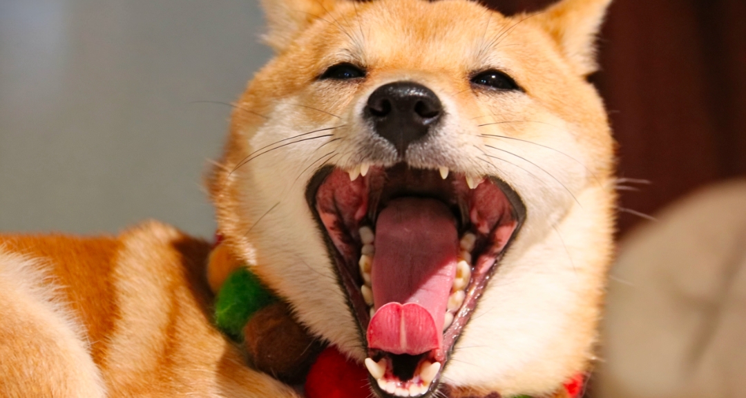 這些人體與自然冷知識，90%的人都不知道