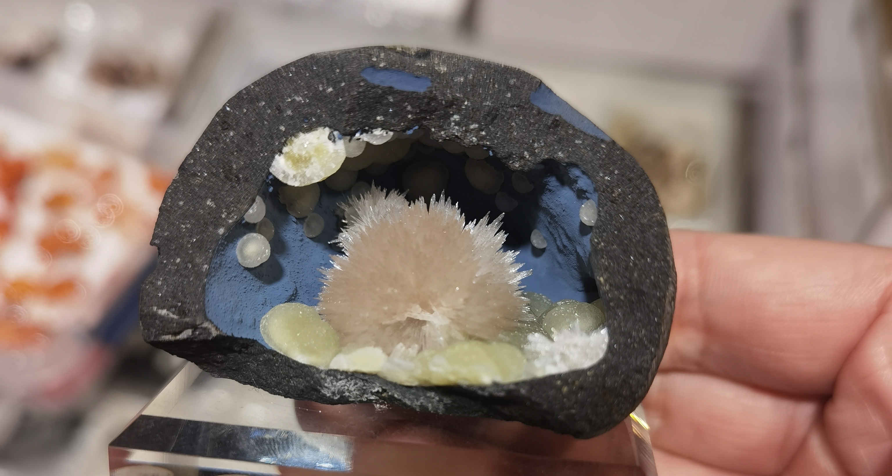 探机时刻特别篇 上海矿展游记