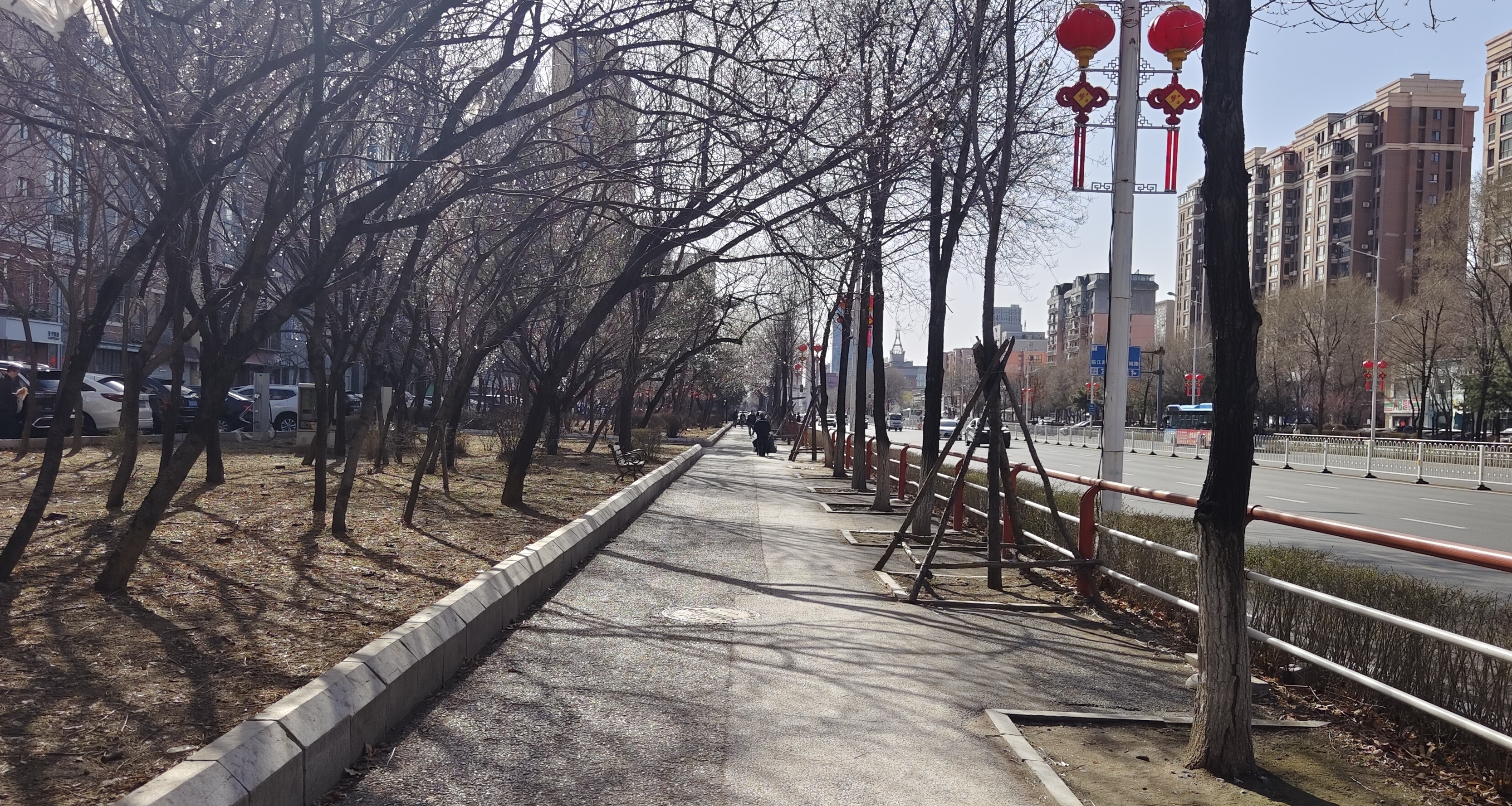 我家大白